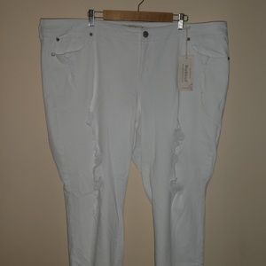 Torrid Boyfriend Jeans